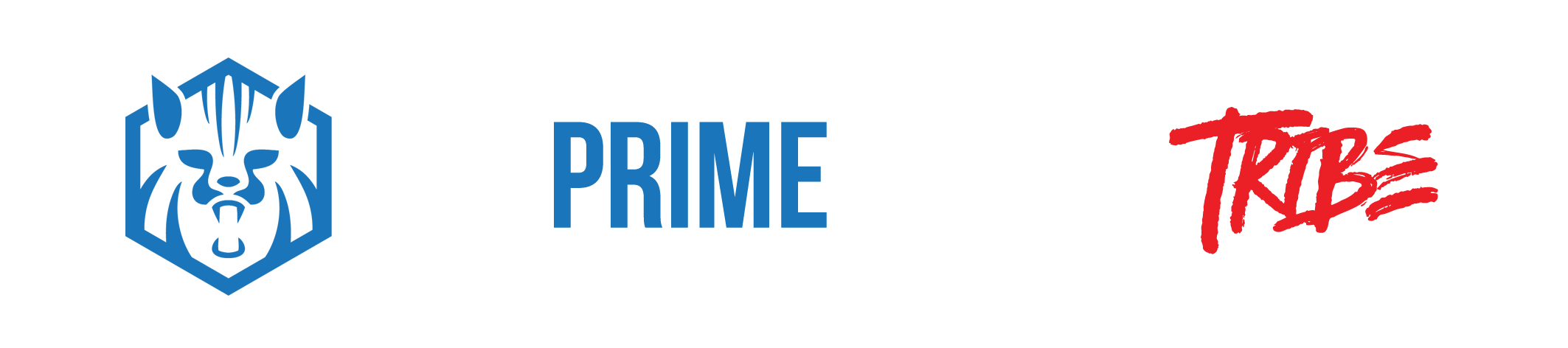 The Prime Human